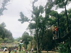 -南丹山森林王国
