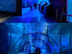 -太平洋海底世界