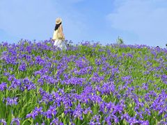 -白鹭湾湿地公园