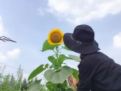 景点-天府芙蓉园