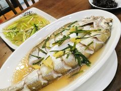 清蒸白鱼-观桥阁(锦溪店)