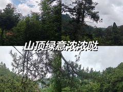 -鼓岭旅游度假区