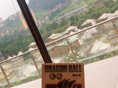 -重庆南山海昌汤都