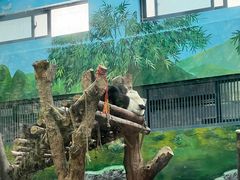 -黔灵山公园