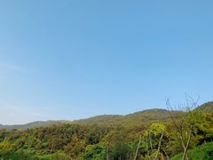 -铁山坪森林公园