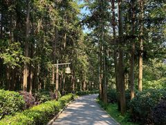 -冶父山国家森林公园