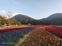-广州市石门国家森林公园