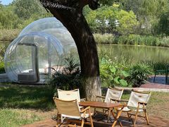 -Supine Bistro溯泮餐厅