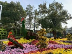 -南山植物园