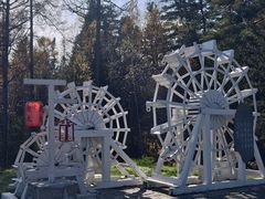 -五营红松林海景区