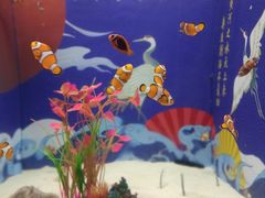 -烟台海昌鲸鲨海洋公园
