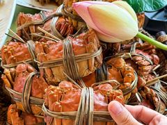 -七的湖·江南蟹舫·阳澄湖农家菜(蟹舫苑店)