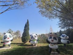 -青藏高原野生动物园