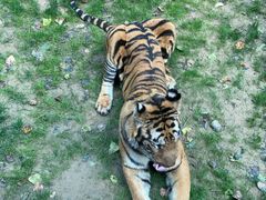 -北京野生动物园