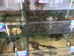 -南海渔家•海鲜•正宗海南菜(海棠湾店)