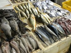 -七宝蔬菜农副产品综合交易市场-停车场