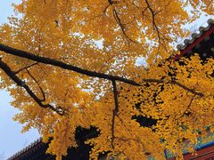 -红螺寺