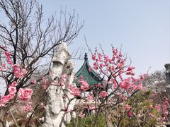 -无锡梅园公园