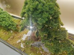 -山涧肴·湘味家肴(松岗满纷天地店)