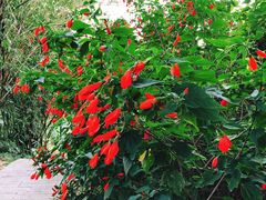 -福建鲤鱼洲酒店