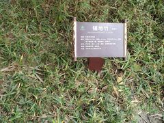 -望江楼公园