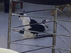 -毛氏汽水包(山海关路店)