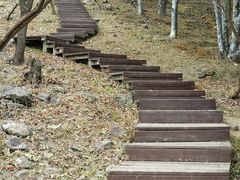 -北京十三陵国家森林公园蟒山景区