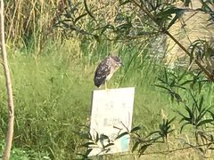 -上海多利农业发展有限公司