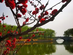 -大兴滨河森林公园