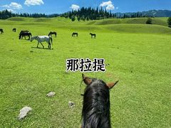 -新疆那拉提国家旅游度假区