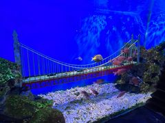 -太平洋海底世界