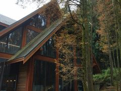 -山王坪喀斯特国家生态公园