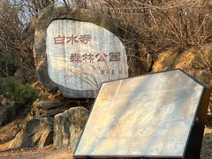 -白水寺森林公园