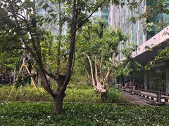 -北京希尔顿逸林酒店-逸轩西餐厅-自助餐厅