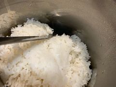 米饭-壹盏灯(惠农店)