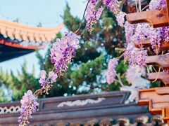 -苏州碑刻博物馆