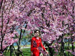 -福建鲤鱼洲酒店