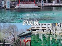 -趵突泉景区