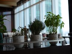 -翡翠36餐厅(浦东香格里拉店)