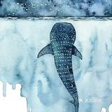 这些画看一眼就爱上[惊讶]