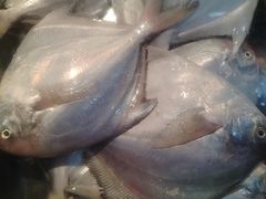 -星奇缘·海鲜餐厅(东山美食地标店)