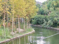 -黄陂区野村谷景区