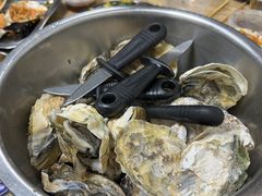 -爱蚝屋