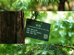 -国家植物园