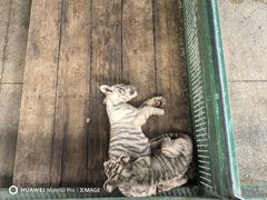 -秦皇岛野生动物园