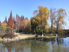 -习家池