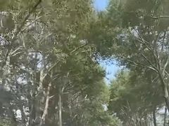 -张北坝上草原