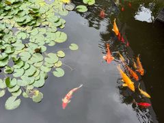-昆明洲际酒店