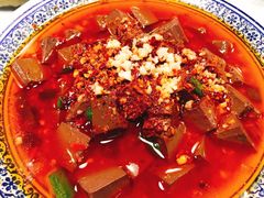 香辣毛血旺-東舍食唐精品陕菜馆