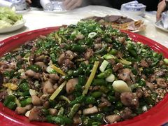 尖椒兔-东吴霸王兔(松青路店)